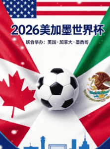 2026世界杯竞彩官方指定网站 世界杯比赛用球